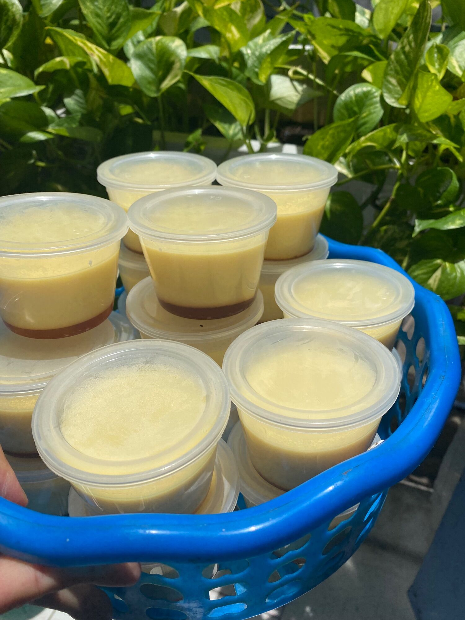 Hũ bánh flan số 1