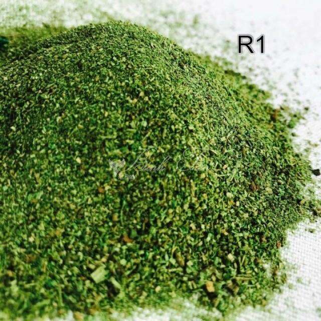 RÊU BỘT PHỦ GỐC CÂY- THÂN CÂY