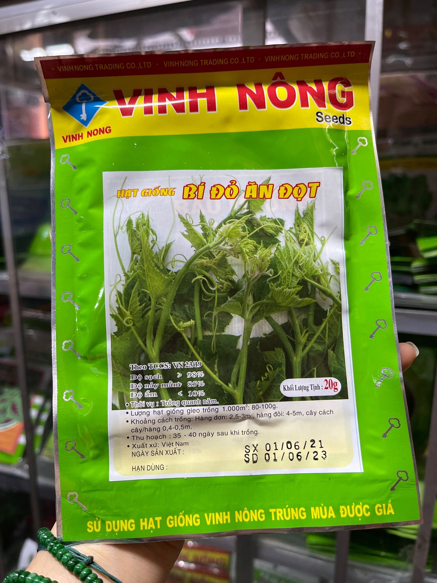 Hạt giống bí đỏ ăn đọt 20gram