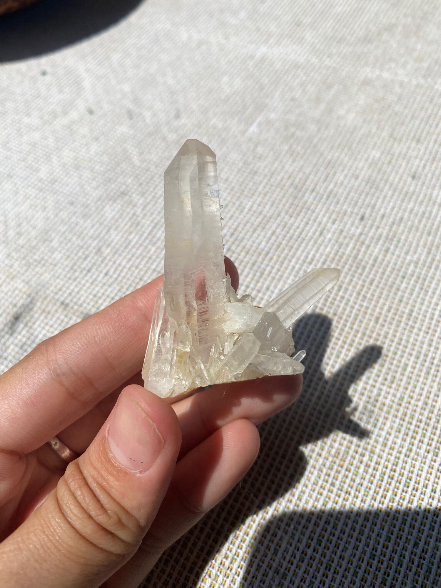 Tinh thể thạch anh Lemuria, mầm tinh thể