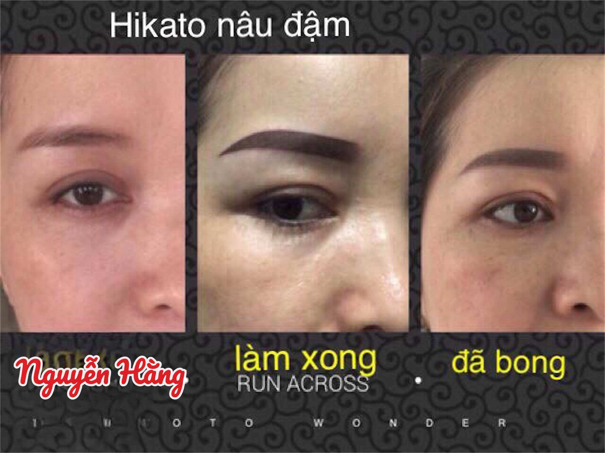 Mực phun xăm Hikato