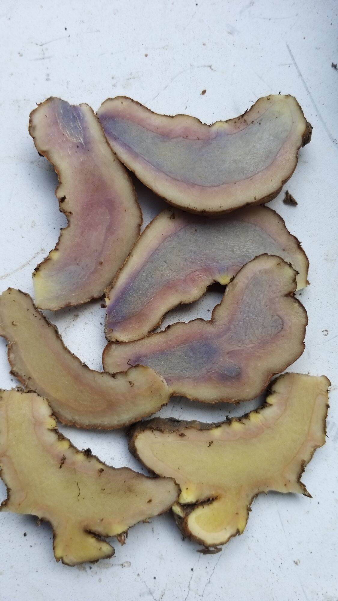 củ nghệ đen tươi 1kg