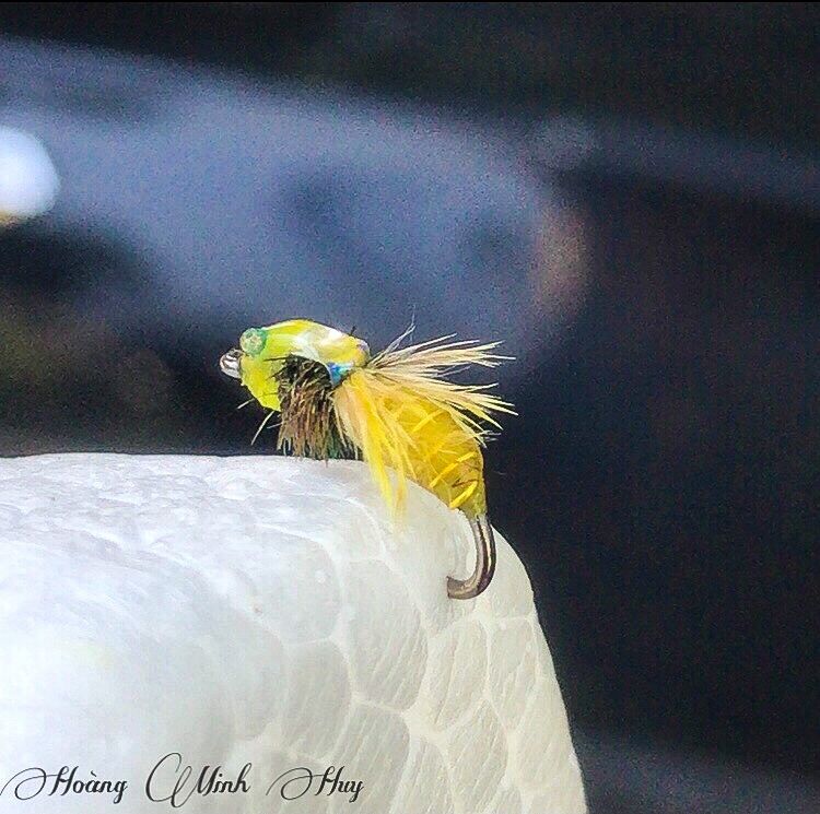 Mồi bọ chuyên câu lure, fly, tenkara