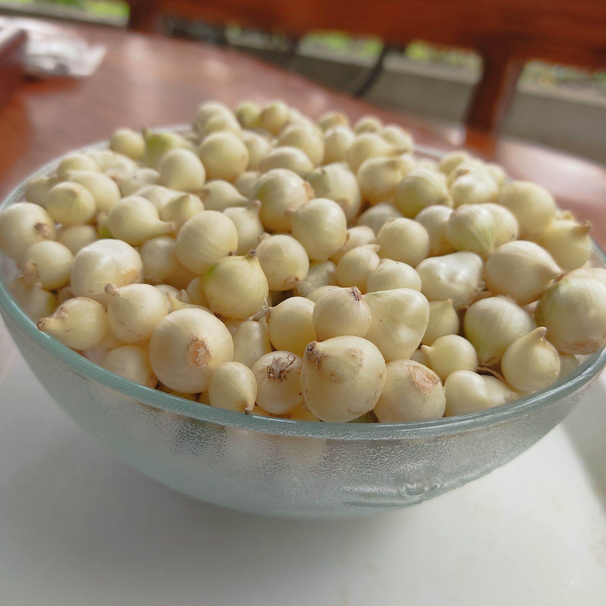 Hanh tăm quê nghệ an 0.5kg