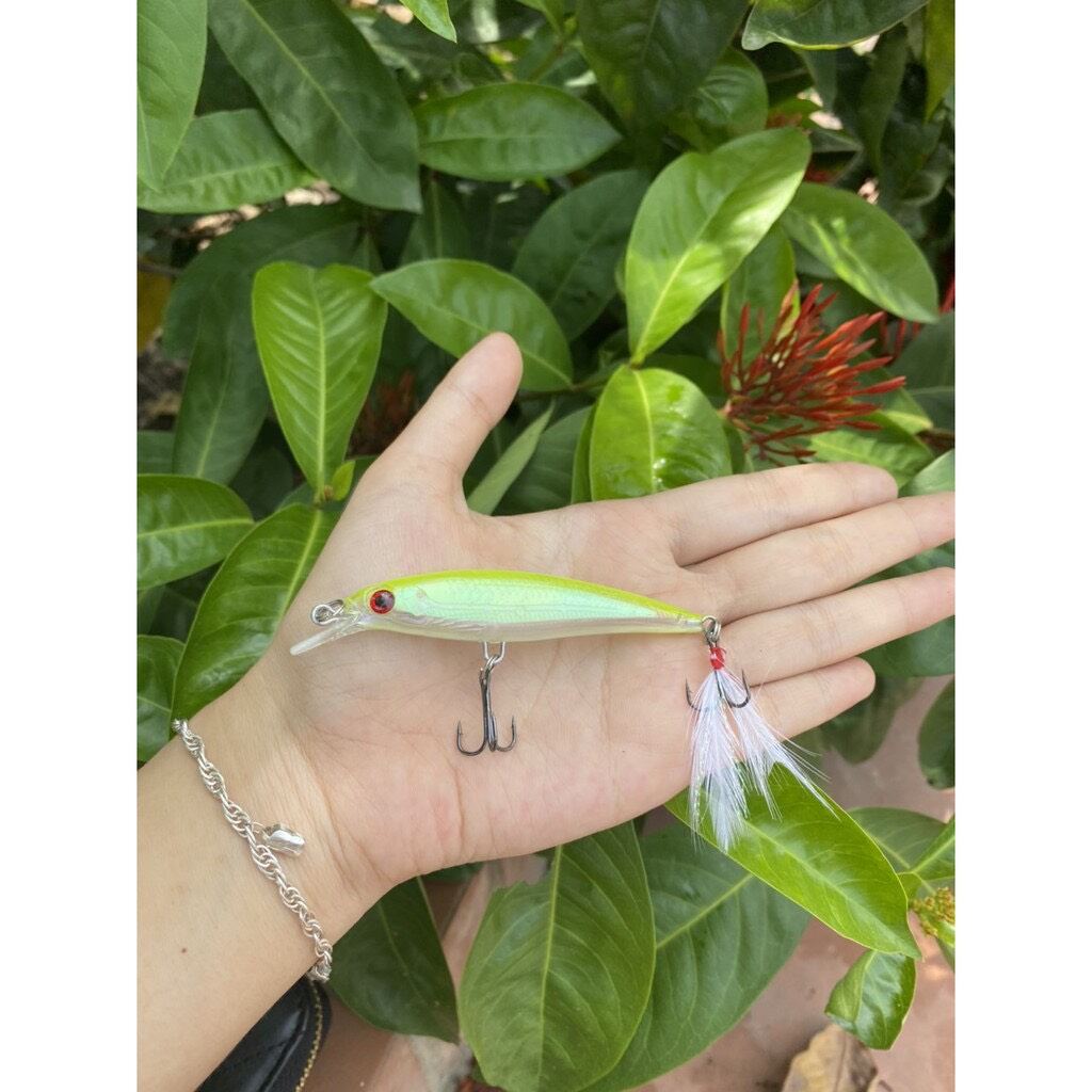Mồi câu cá chẽm Cá Mú Cá Ngão