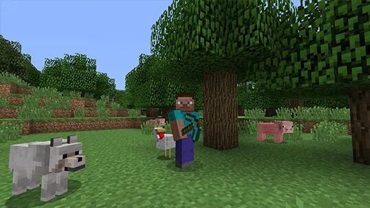 Đĩa chơi game PS4: Minecraft Starter Collection