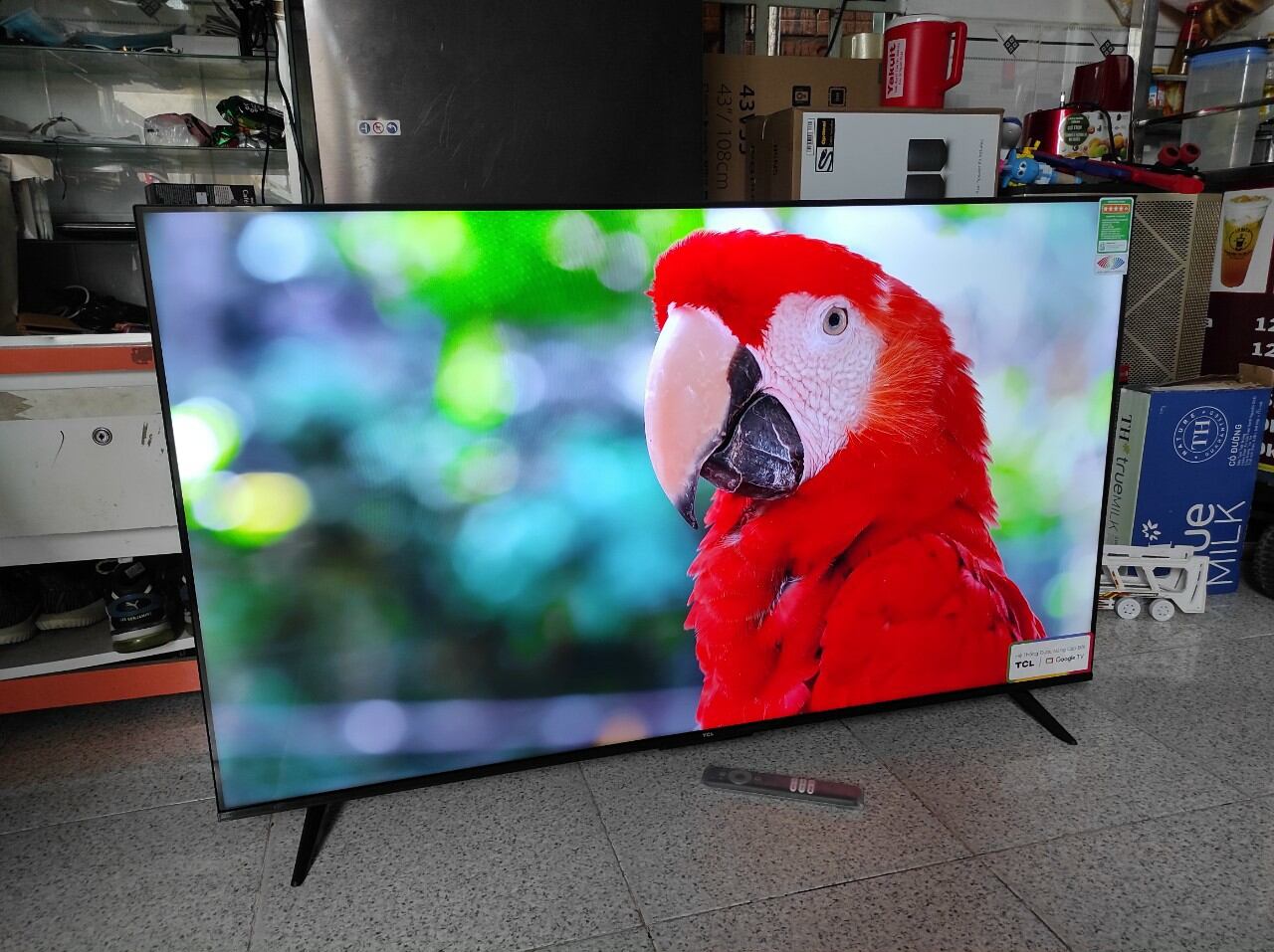 Google tivi tcl 4k 50 inch 50p737 / chính hãng