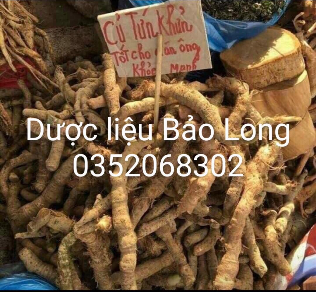 Củ tứn khửn