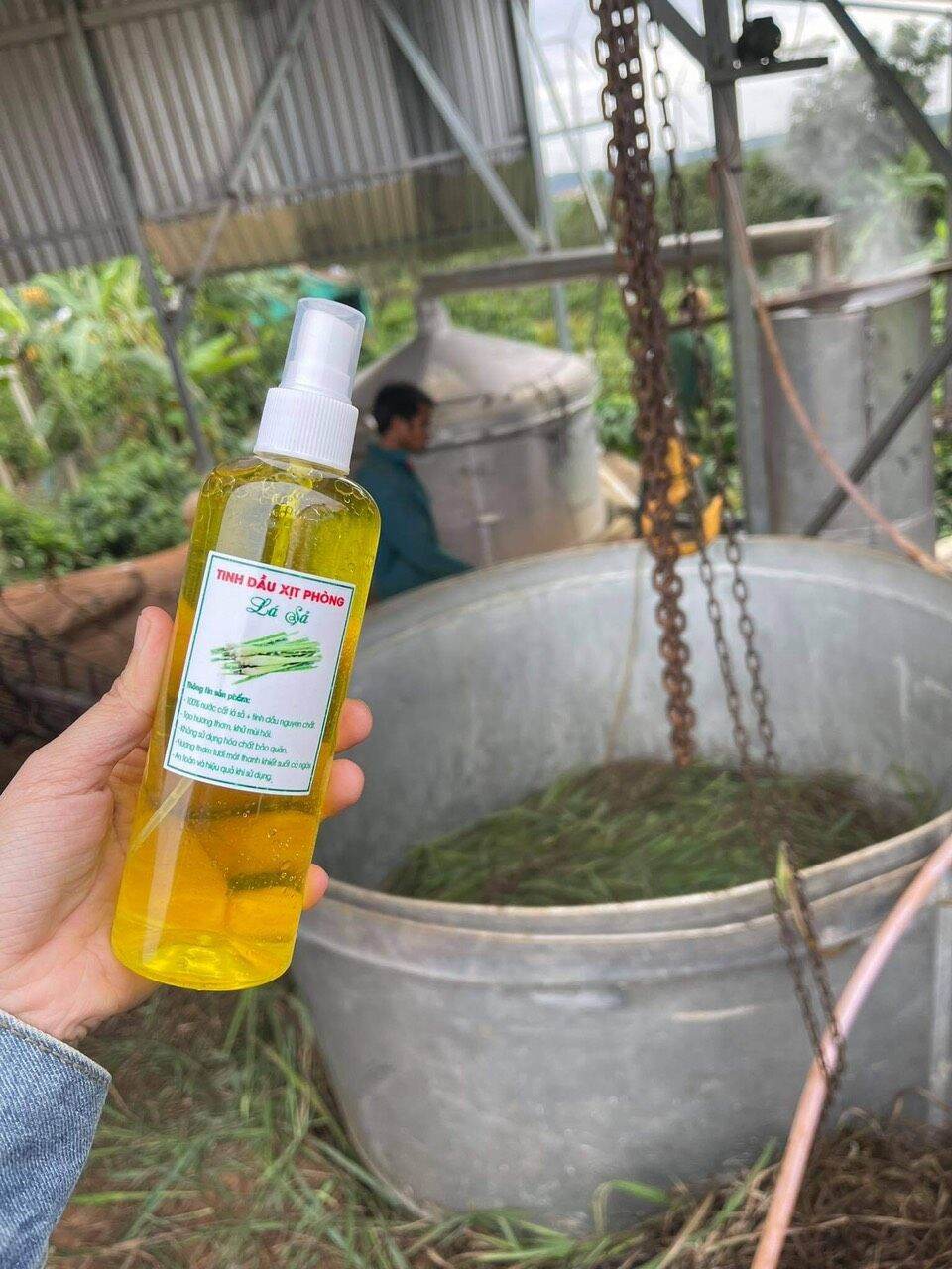 Tinh dầu xịt phòng kháng khuẩn chanh xã