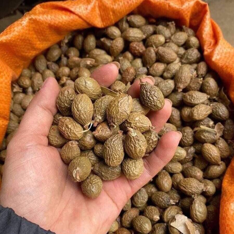 Hạt đười ươi khô 500gr