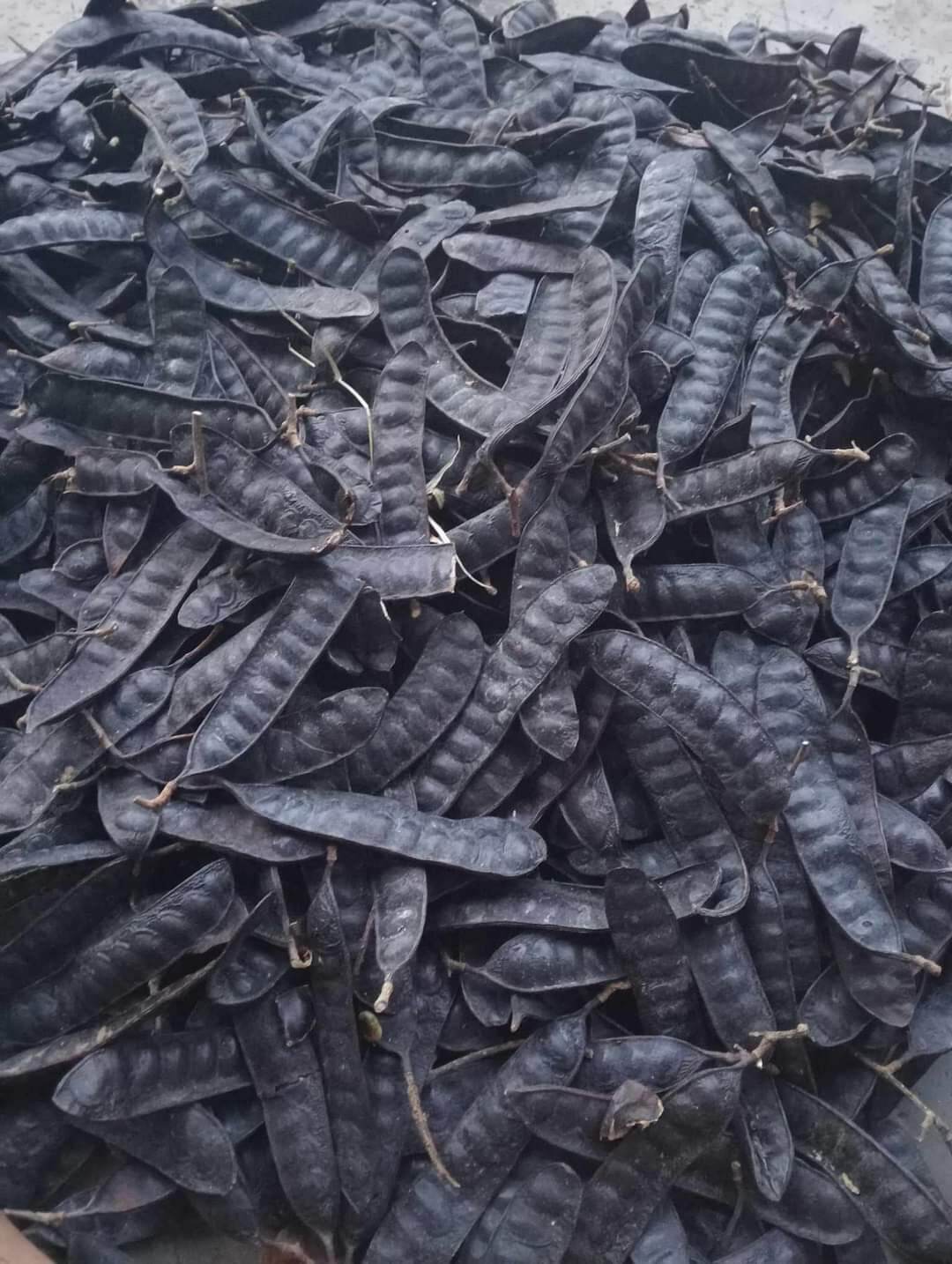 1kg bồ kết khô