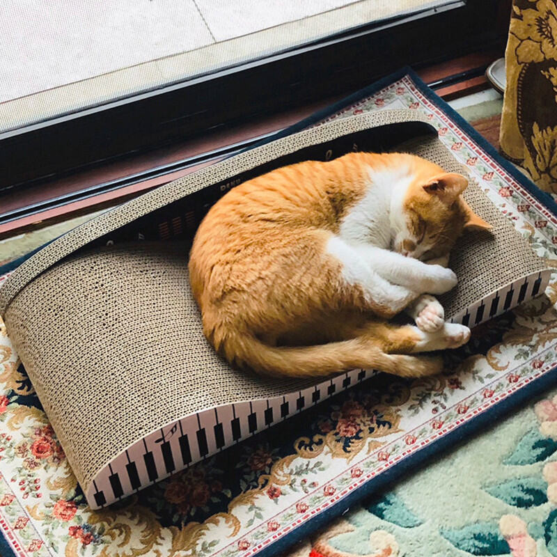 Thảm Cào Móng Cho Mèo Sofa Kiểu Đứng Liền Ổ Mèo Đồ Chơi Đệm Móng Vuốt Cho