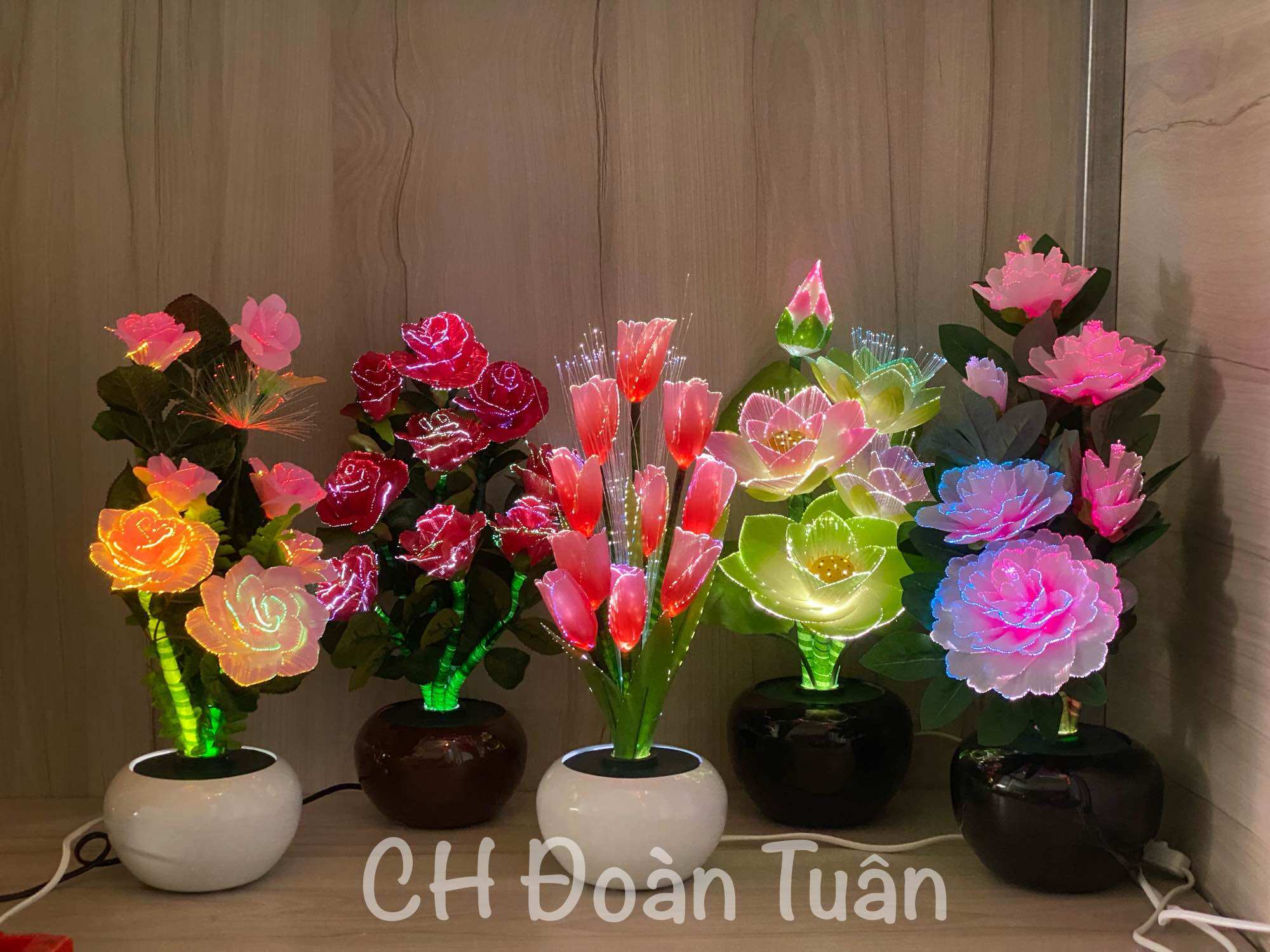 Chậu hoa đèn LED để bàn trang trí - đèn bình hoa thủy tinh