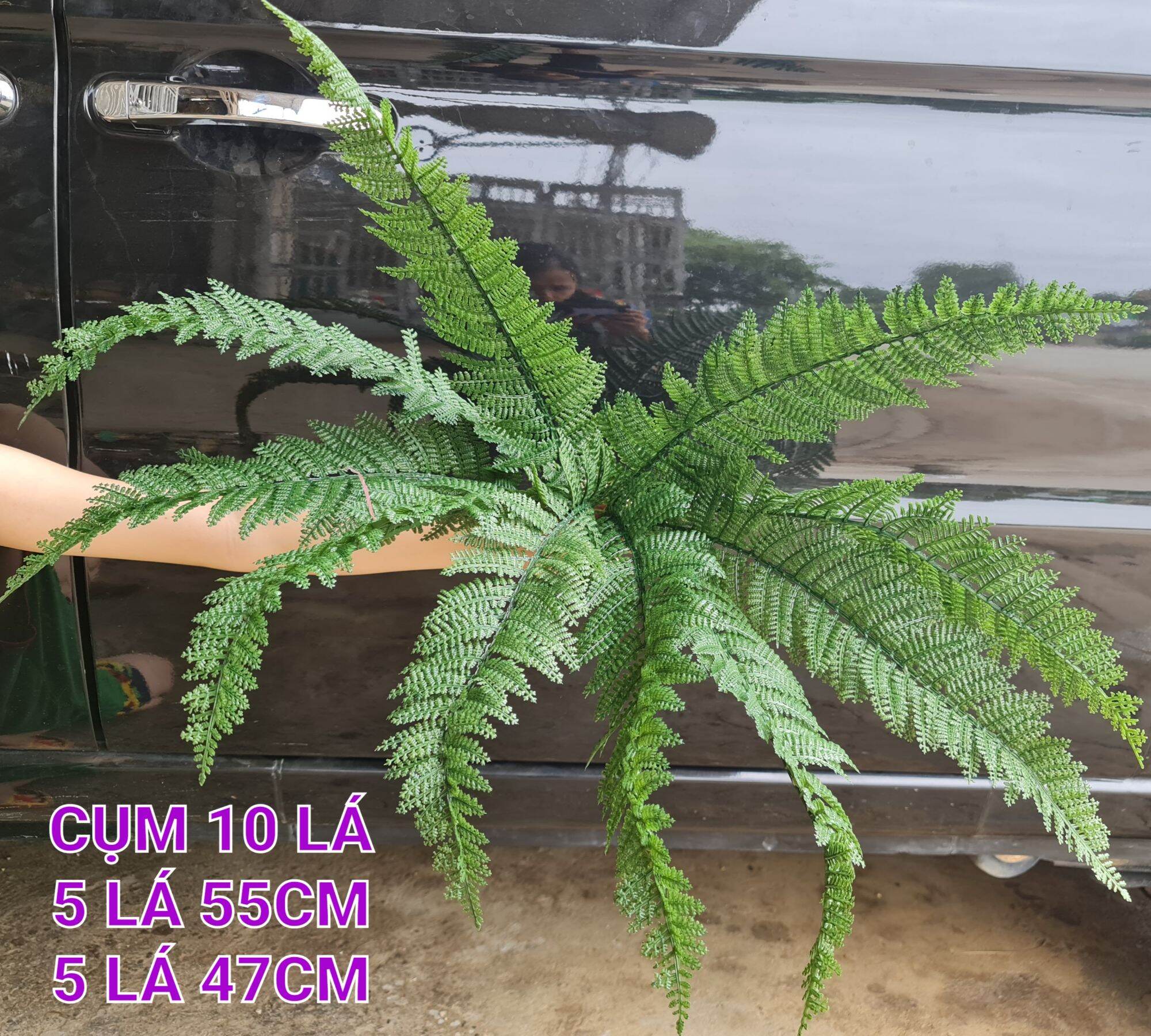 Lá cây dương sỉ nhựa. lợp lồng lụp bẫy. bộ 10 lá