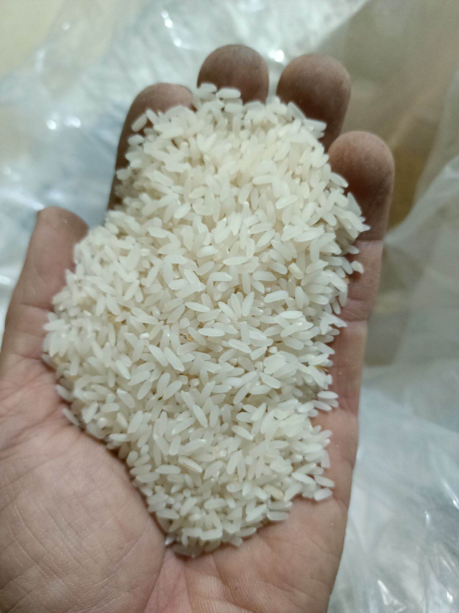 Gạo tám xoan
