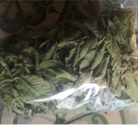 1kg trà lá ổi khô