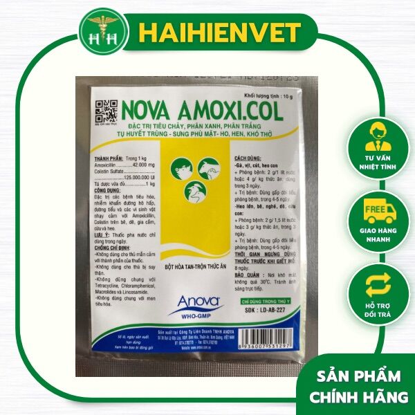 1 gói NOVA AMOXCOLI 10g - tiêu chảy, phân xanh, phân trắng, tụ huyết trùng, sưng phù mặt, ho hen
