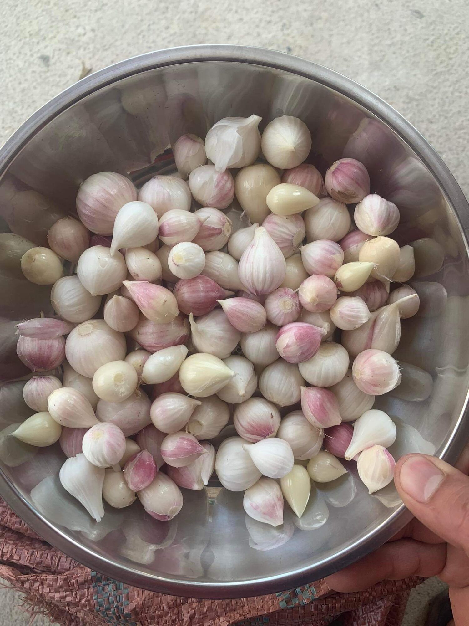 Tỏi cô đơn phù yên Sơn La 1kg