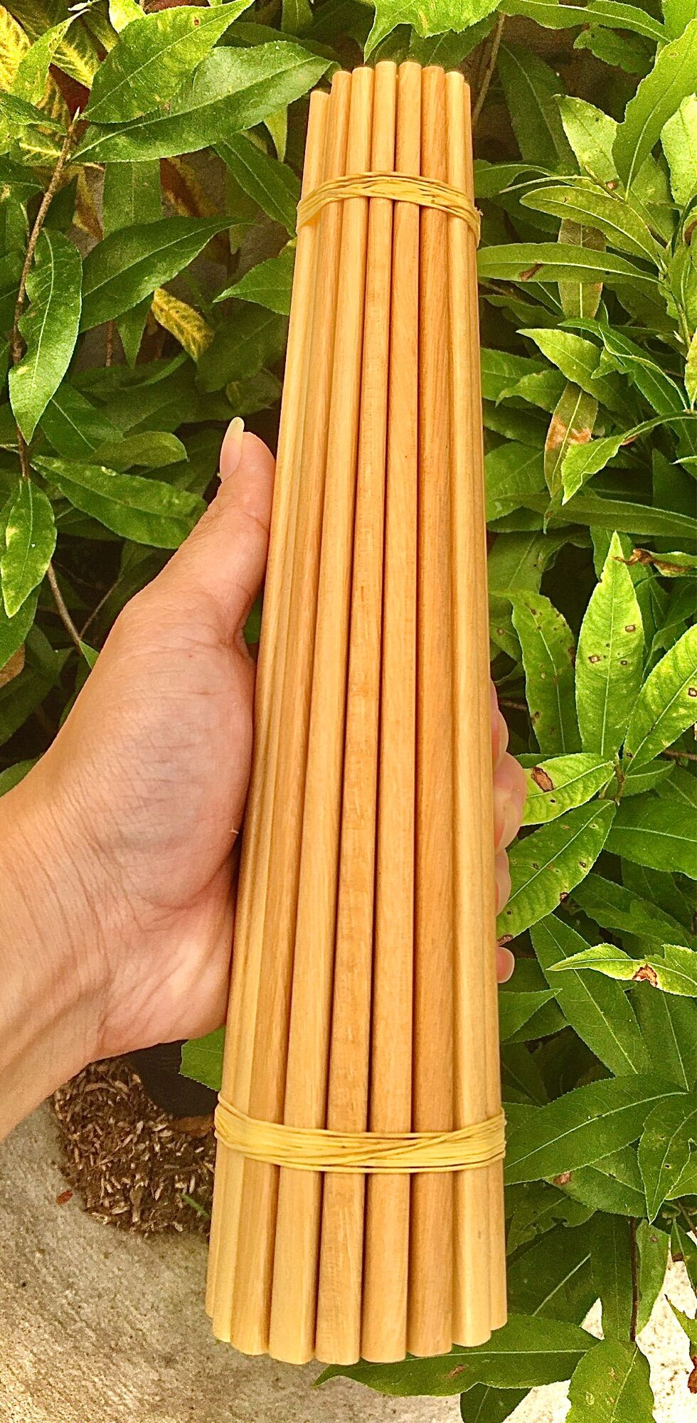 Đũa ổi rừng 10 đôi herbe nguyễn shop