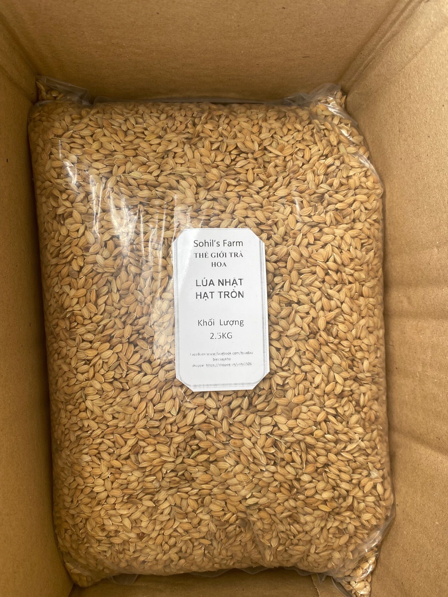 1kg Lúa Nhật Hạt Tròn cho gà đá, cu gáy