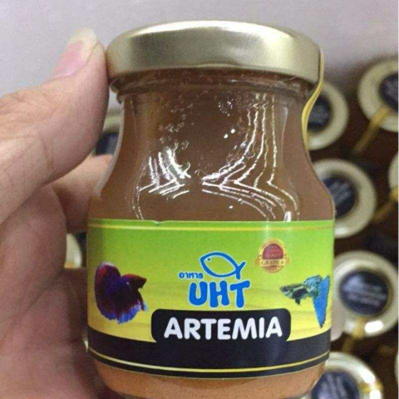 Artemia ấp sẵn thanh trùng UHT : thức ăn dinh dưỡng cho cá
