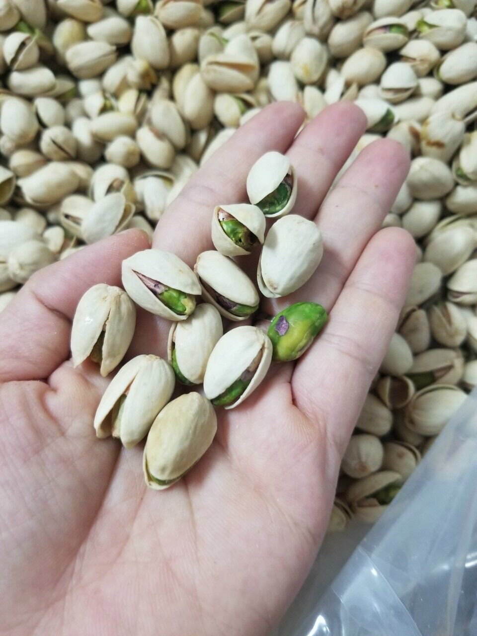 500G Hạt Dẻ Cười Mỹ Không Tẩy Trắng