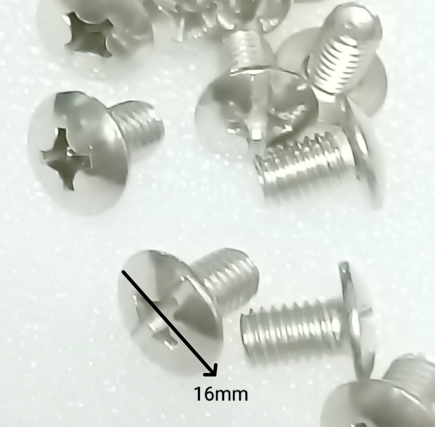 [Hcm] Large Stainless Steel Snails 6Ly X2Cm X 10.