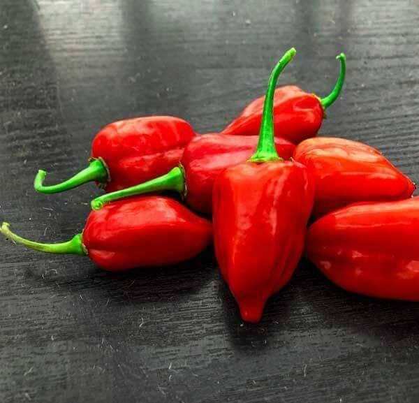 Hạt  Ớt  siêu cay  Red Habanero 5 hạt