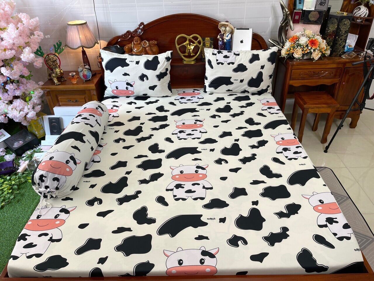 Set drap áo gối thun lạnh hàn quốc