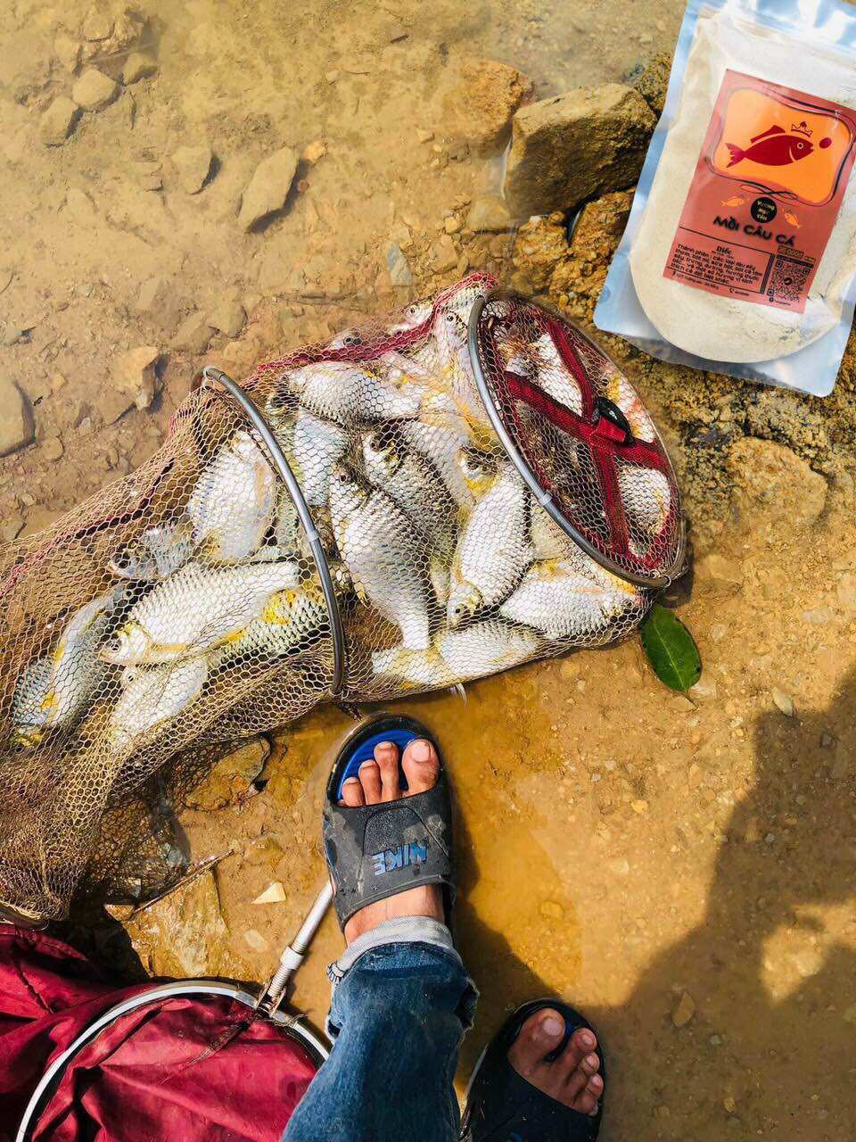 VƯƠNG NGư YÊN 5 gói lớn bột câu cá chép diếc mè vinh