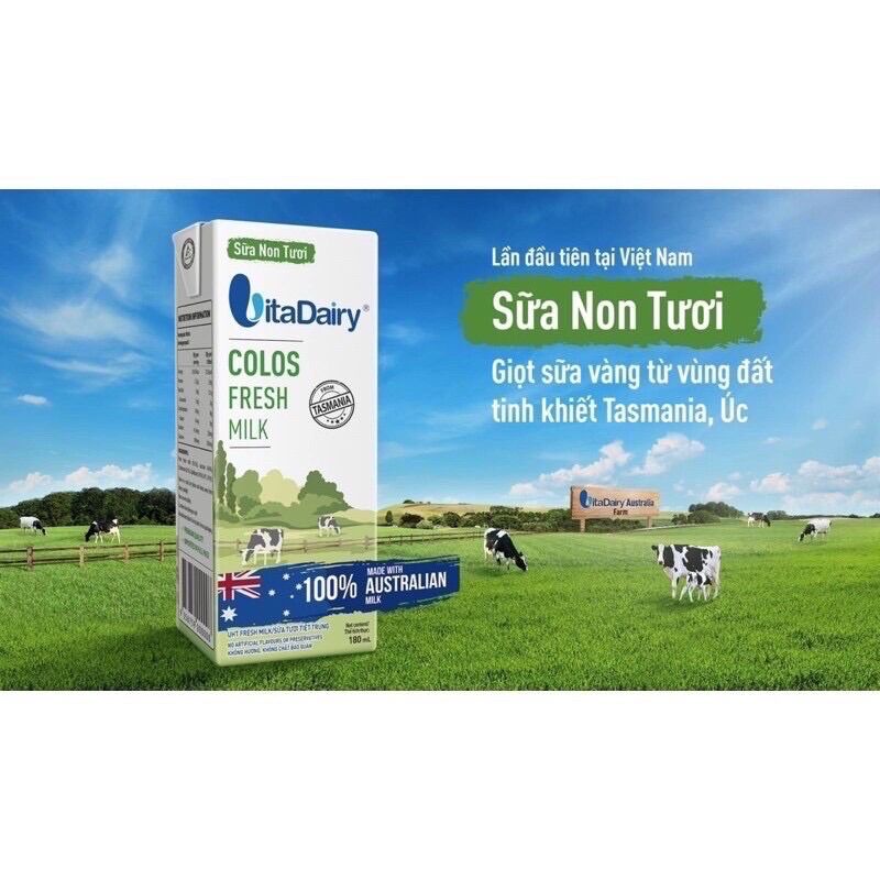 [Thùng 24 hộp 180ml] Sữa Non Tươi Vitadairy