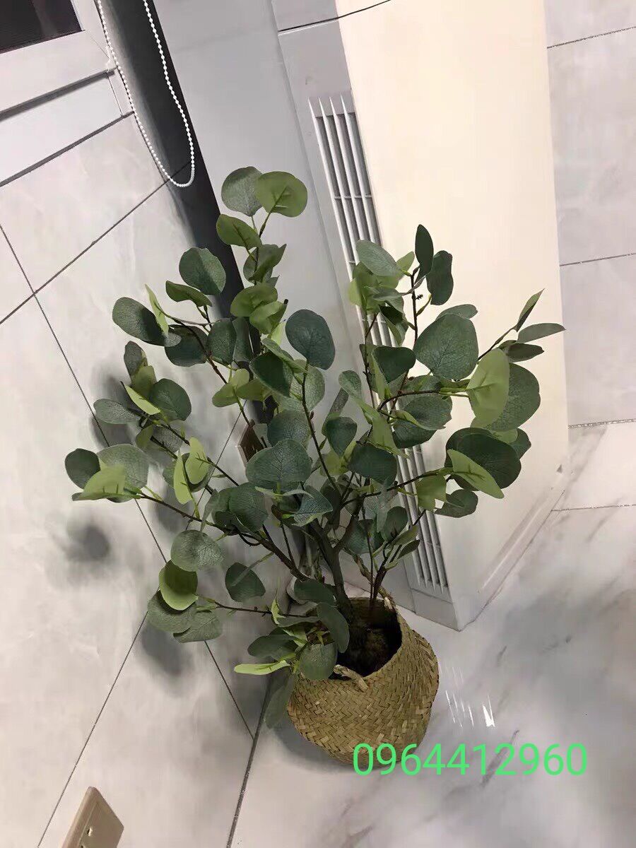 Cây giả cây bạch đàn trang trí 130cm hằng decor