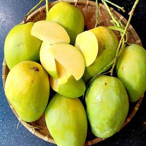 Xoài tứ quý 1kg
