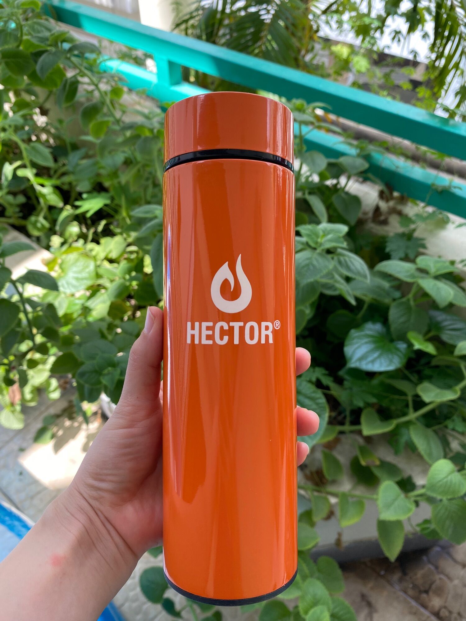 HCM-Bình giữ nhiệt Hector inox 316 siêu xinh