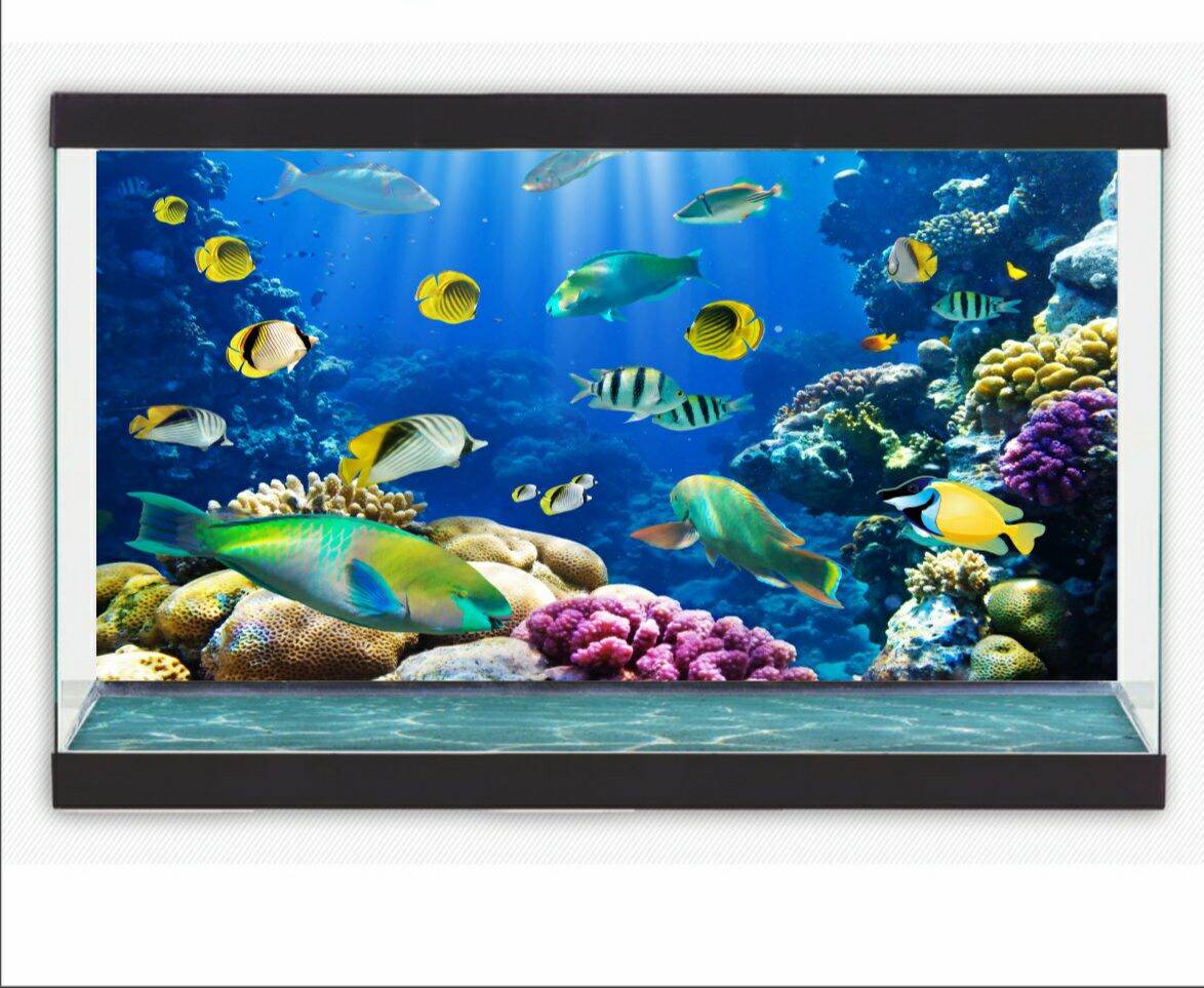 tranh 3d dán hồ cá  DECAL VIP- IN THEO KÍCH THƯỚC HỒ ( tranh lưng )