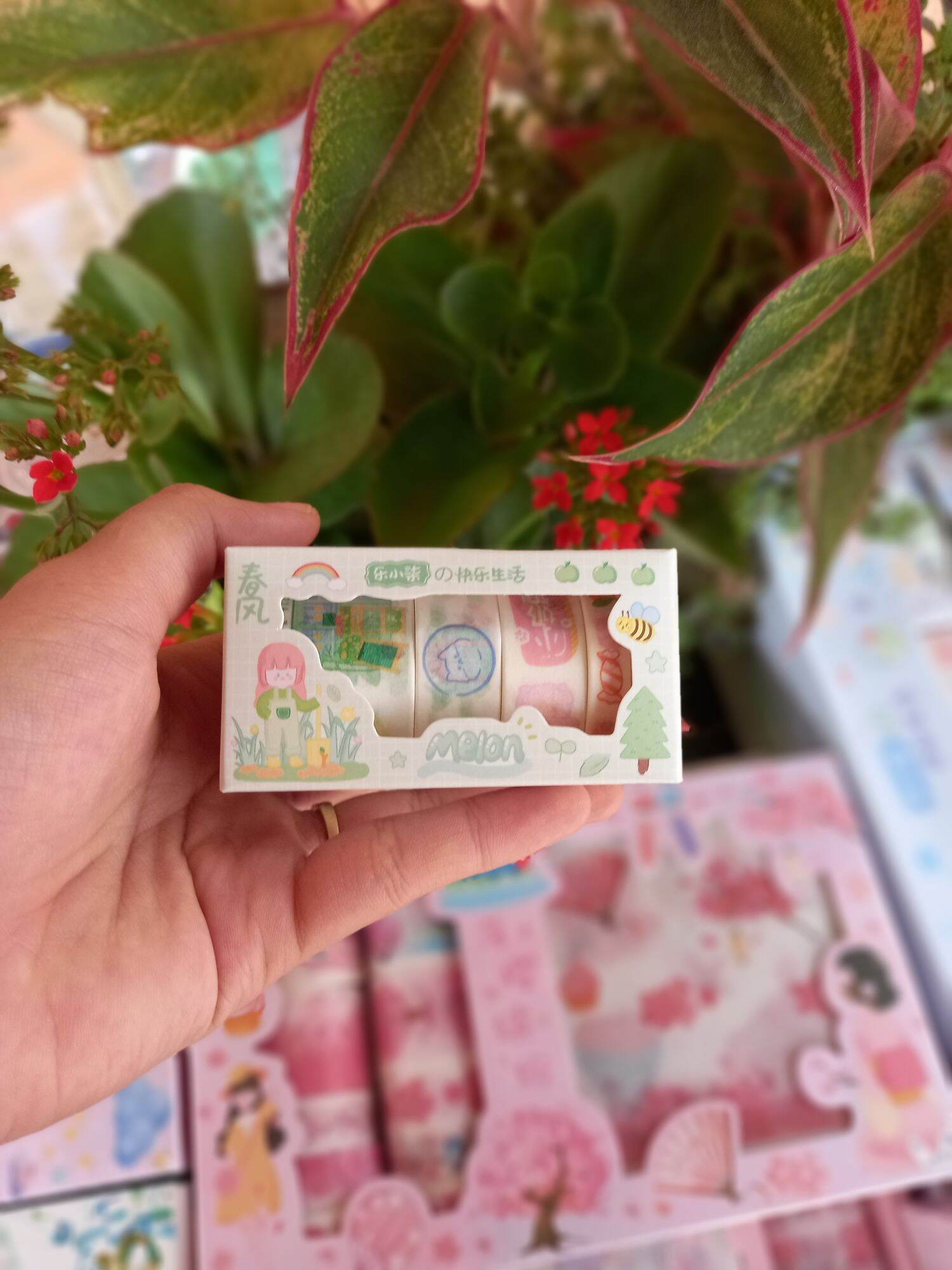 Washi cuộn ( hộp 5 cuộn đủ kích thước )