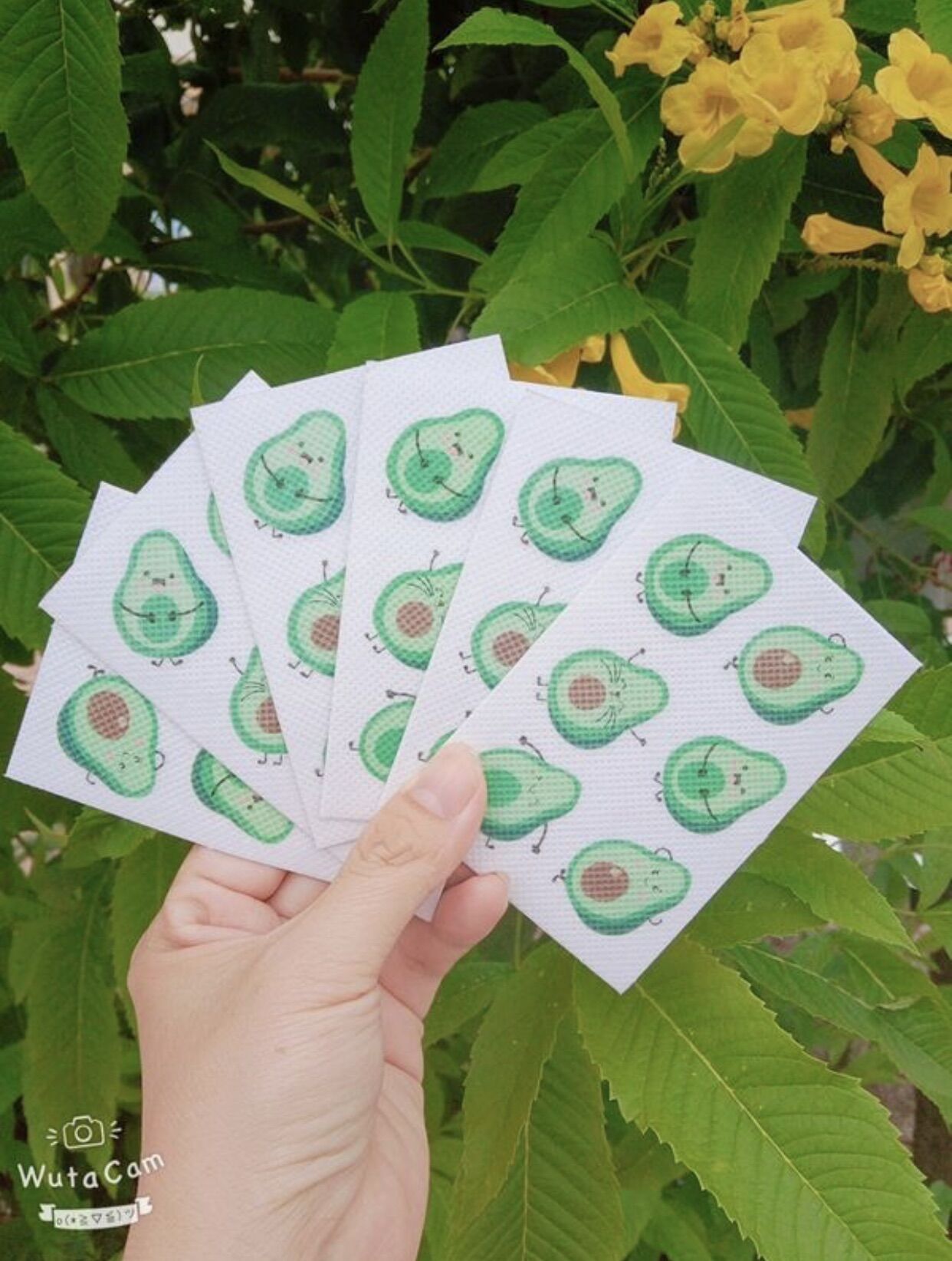 Miếng Dán Chống Muỗi Đốt Hình Trái Bơ Cute Dễ Thương
