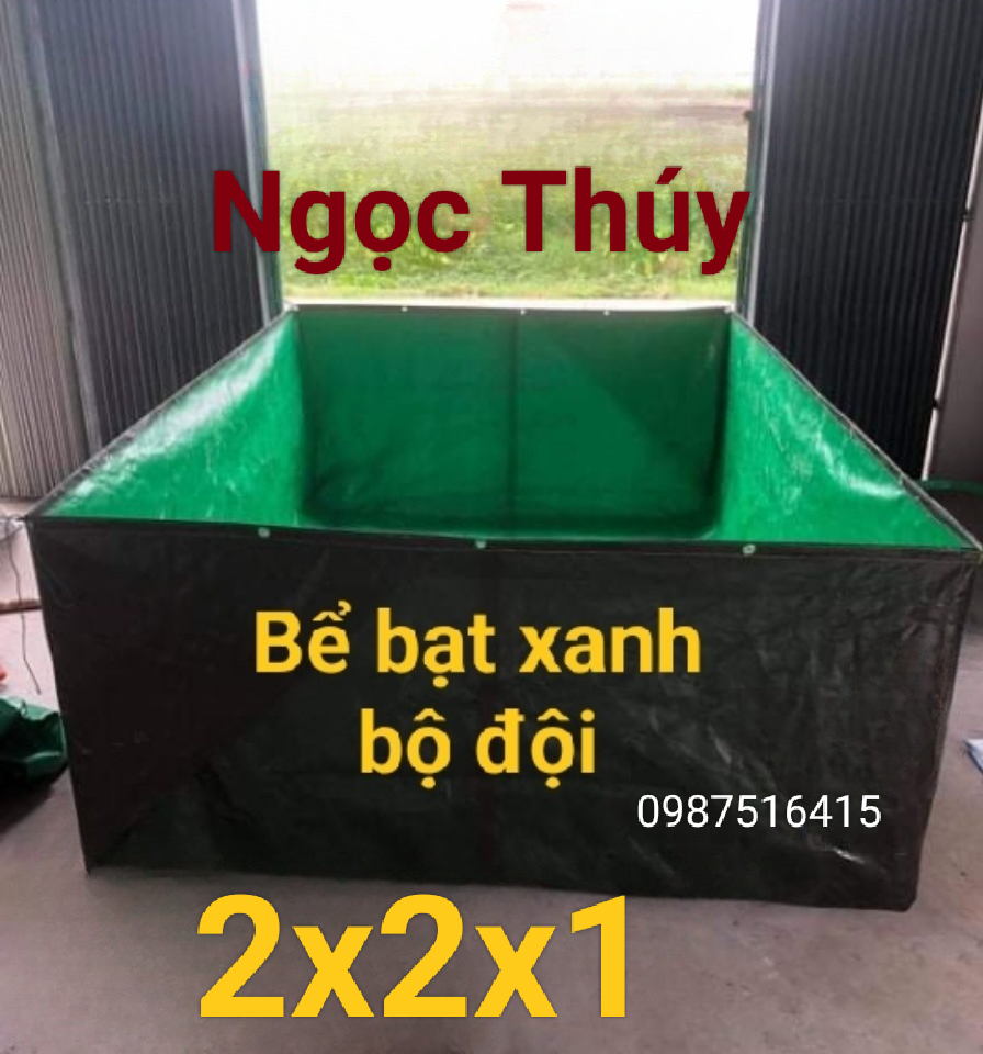 Bể bạt nuôi ốc lươn ếch