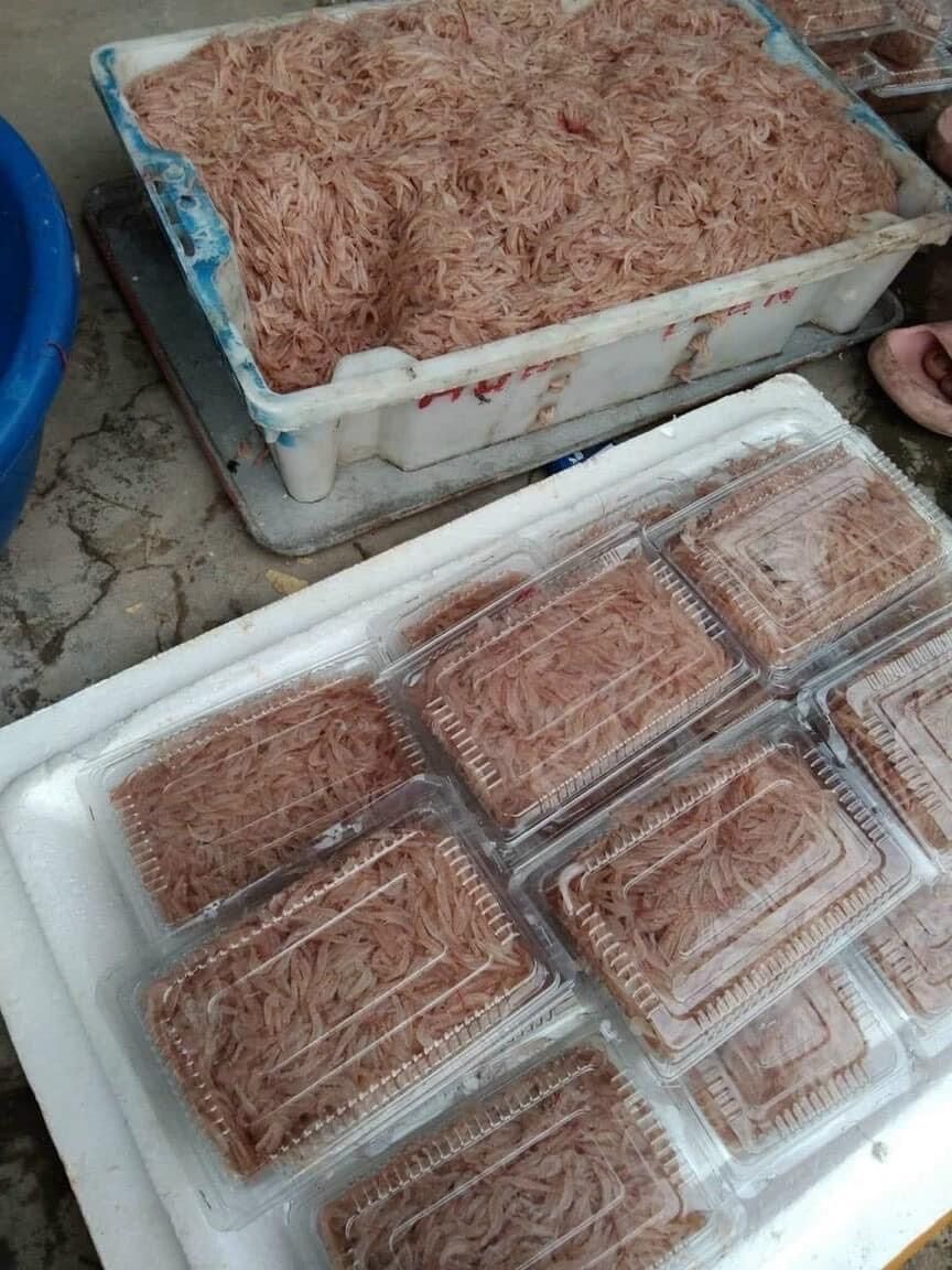 1kg thịt Đà Điểu file (hoả tốc)