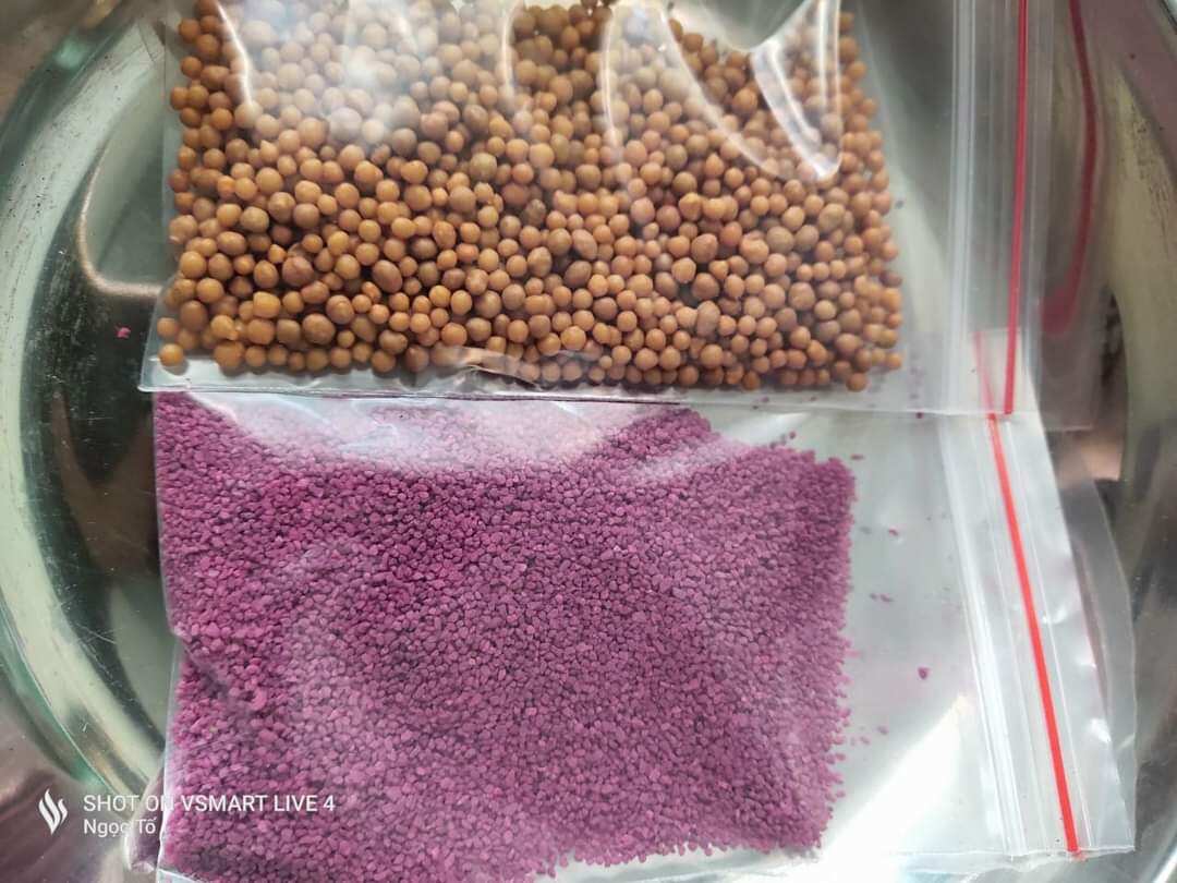100gr thuốc Tím trị rệp Starkle-G thái lan