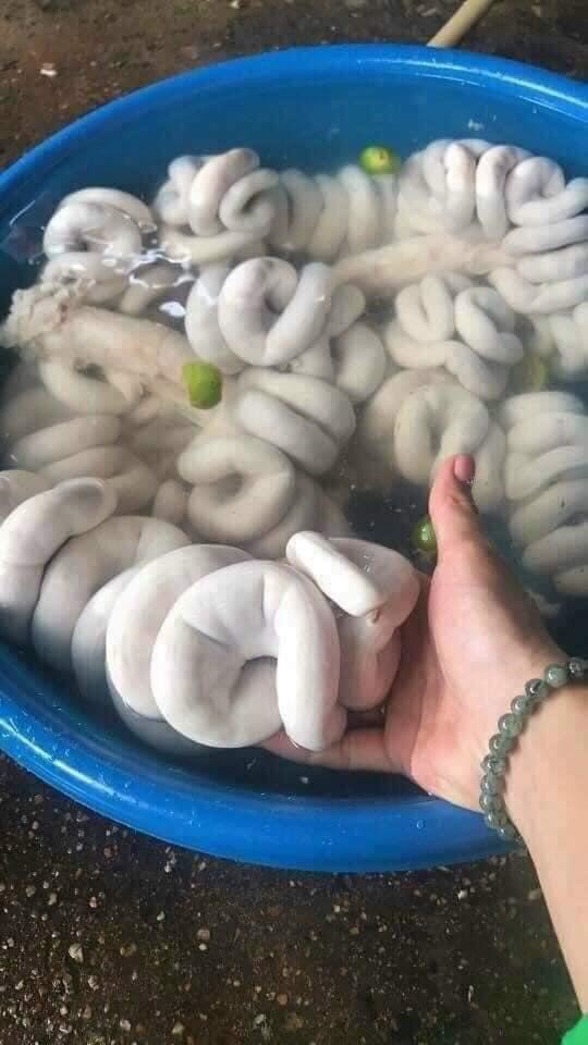 DỒI TRƯỜNG HEO KO TẨY VỈ 1KG