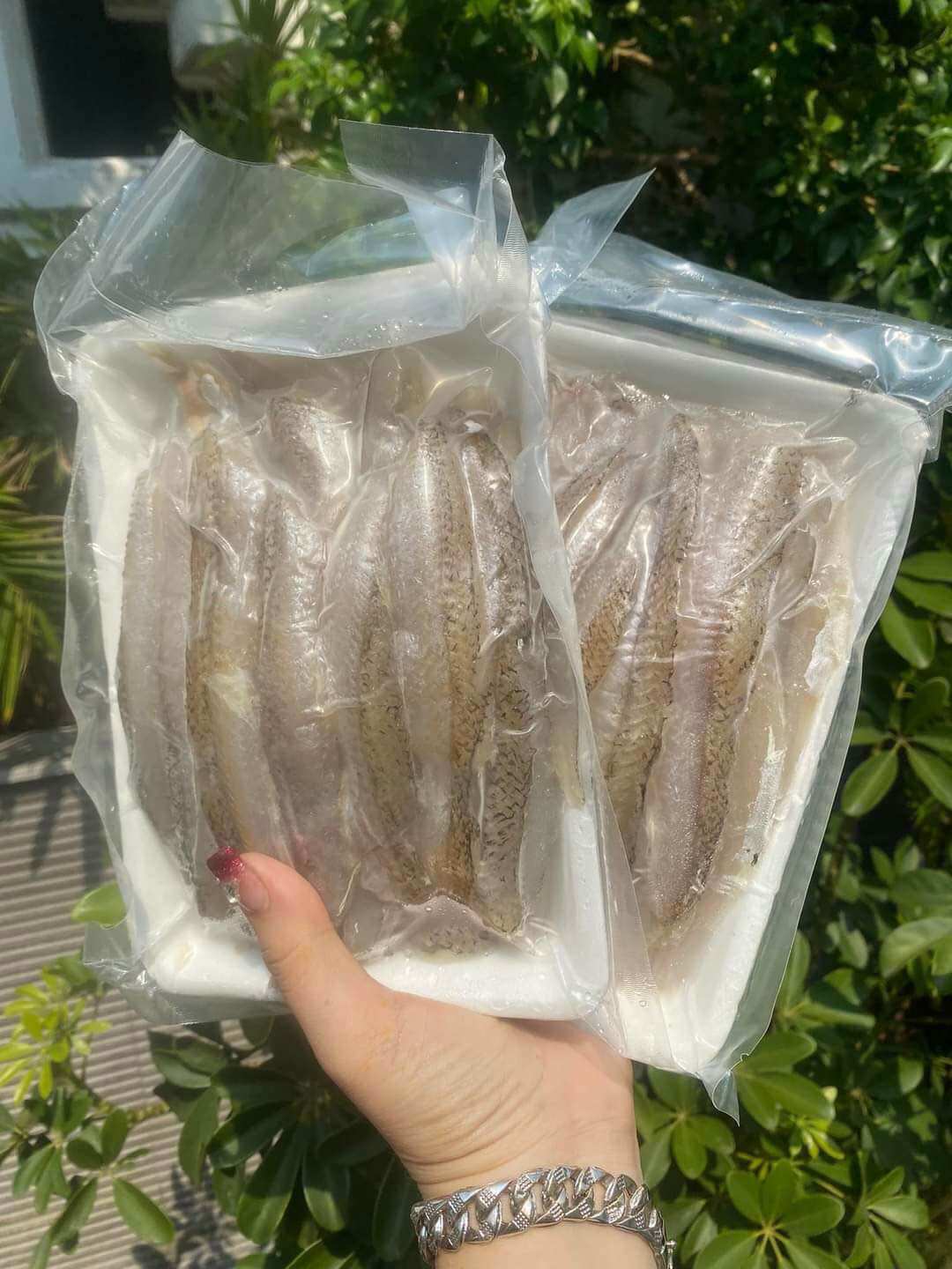 1kg file Cá Mối dẻo 1 nắng (giao hoả tốc 2h tphcm)