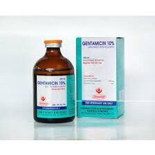 Gentamycin 10% chai 100ml