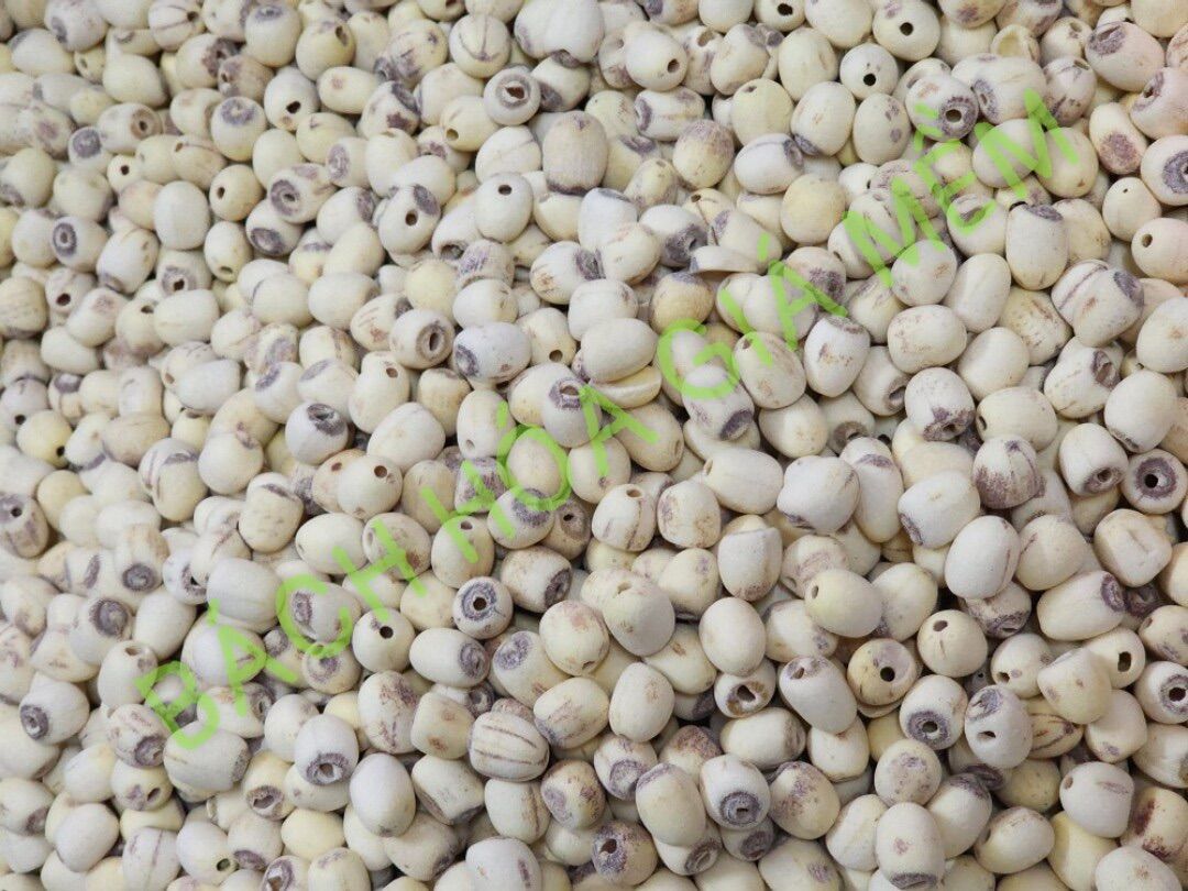 Hạt Sen Khô (Huế) Sấy Khô Loại 1 Ngon Bùi