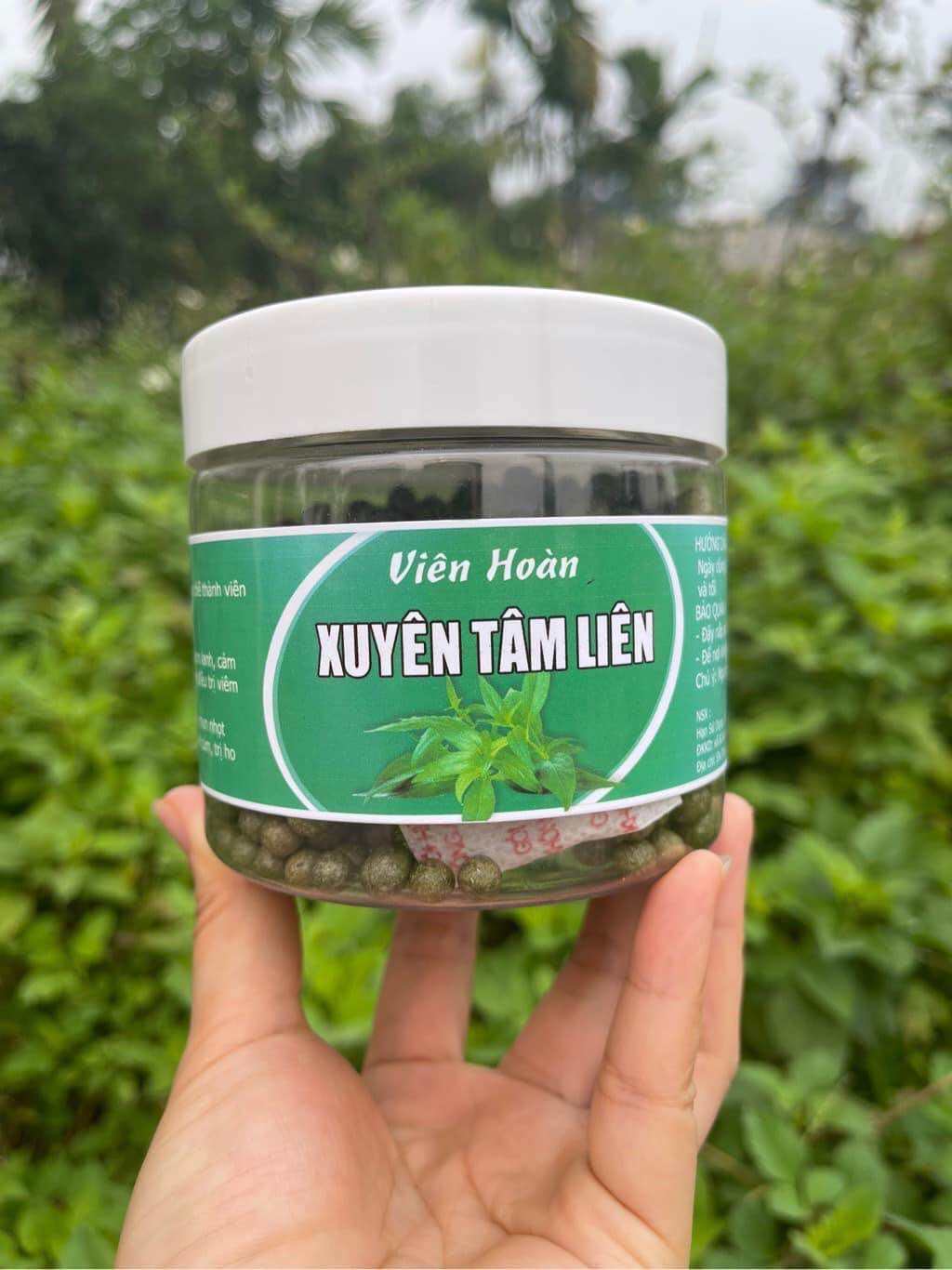 Xuyên tâm liên viên thảo dược 300gr (Phòng Và Chữa Ho Do Cảm Lạnh , Cảm Mạo , Đau Đầu Và Hỗ Trợ Điều Trị Viêm abidan , Điều Trị Ngứa , Rôm Sảy, Mụn Nhọt , Thanh Nhiệt Giải Độc, Trị Cúm, Trị Ho, Viêm Họng, Viêm Phổi)_đặc sản tây bắc 333