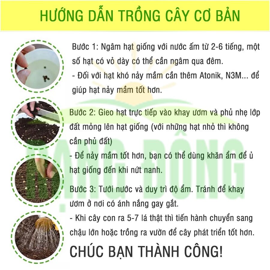 Hạt  khổ qua tây  5g giống  chất lượng