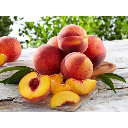 Cây đào tiên nhật đới nhật bản