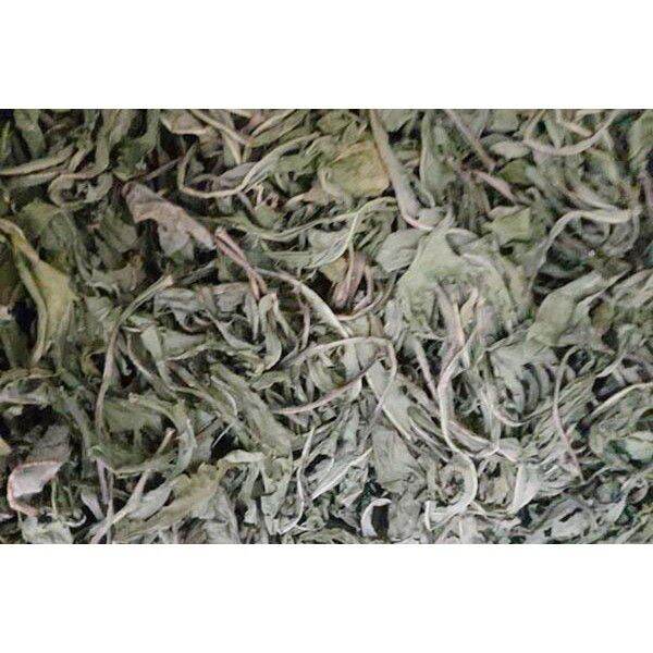 500gr lá bồ công anh chuẩn hoà bình (xanh sạch mới)