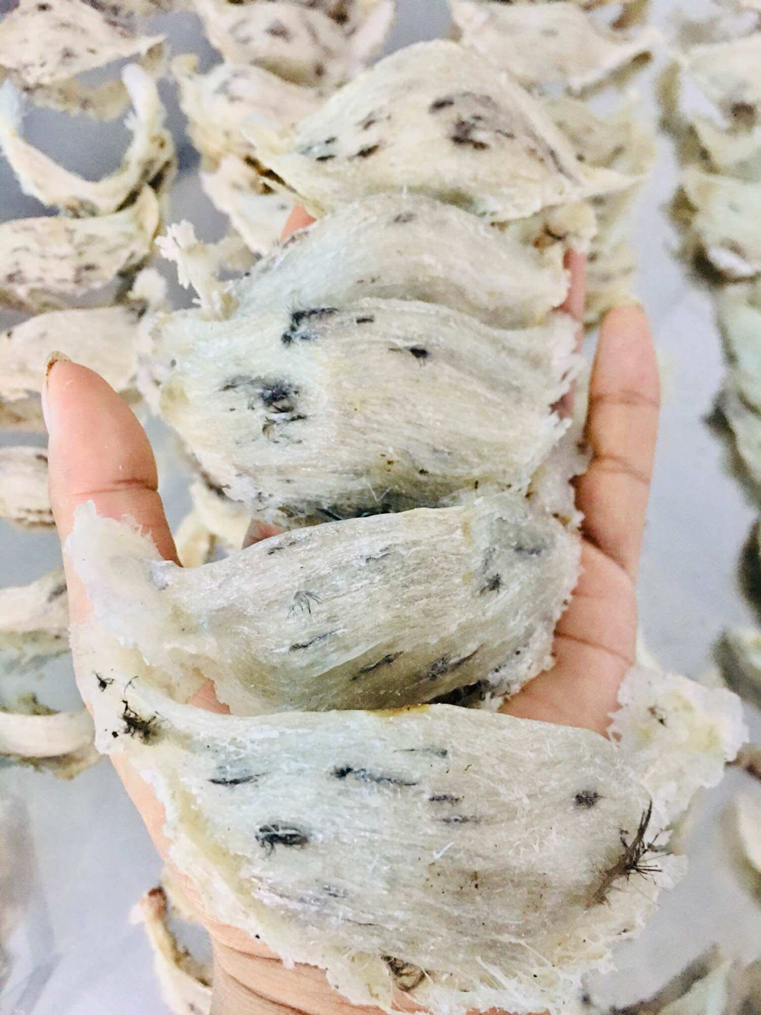 Tổ Yến thô nguyên chất