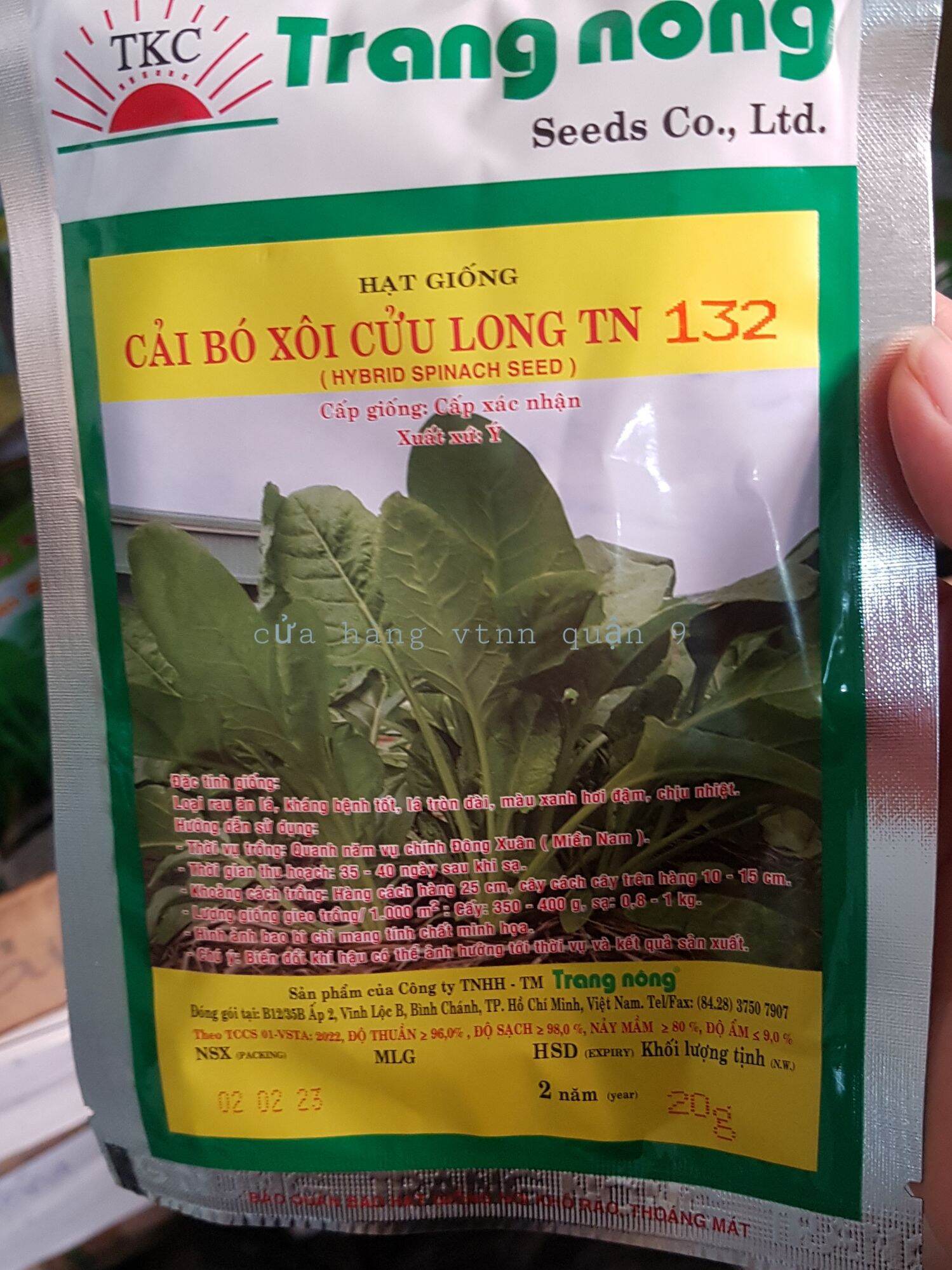 hạt giống cải bó xôi 20gr